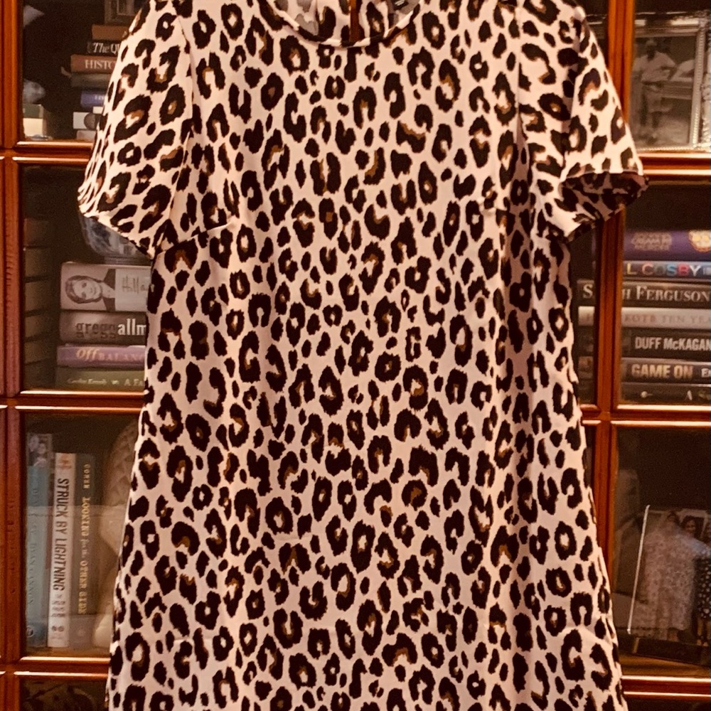 Ann Taylor dress NWOT